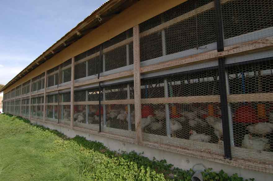 米沢郷牧場の鶏舎