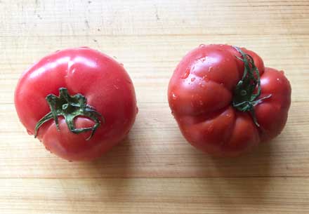 左：普通のトマト、右：たかしまトマト