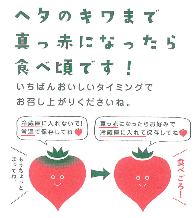 たかしまトマトの食べごろ