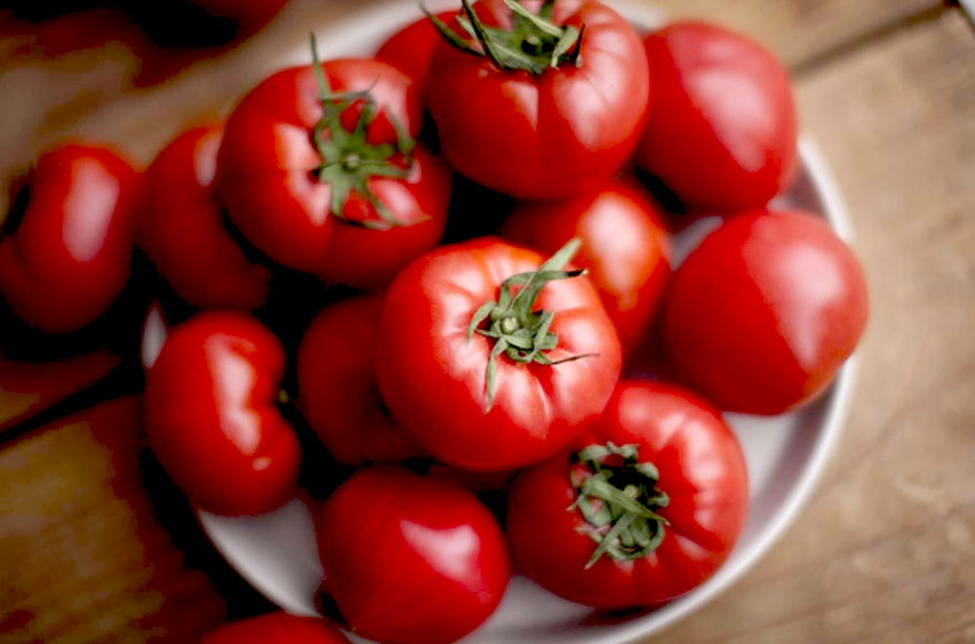 たかしまフルーティ―トマト