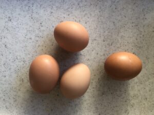 つまめる卵！米っこたまご