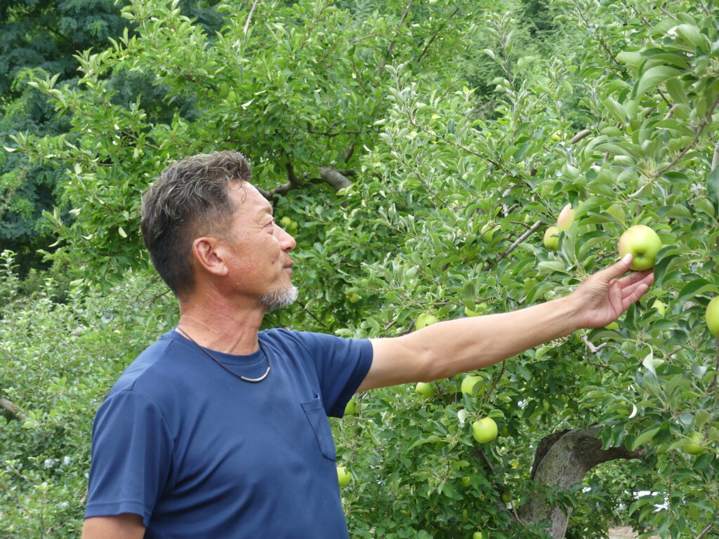 加藤さんとりんご